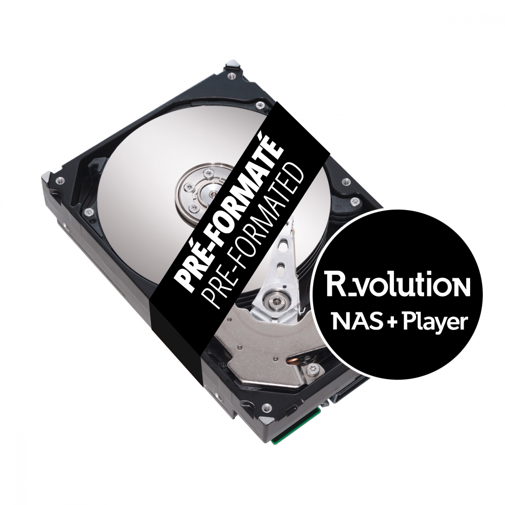 SEAGATE IRONWOLF 18To